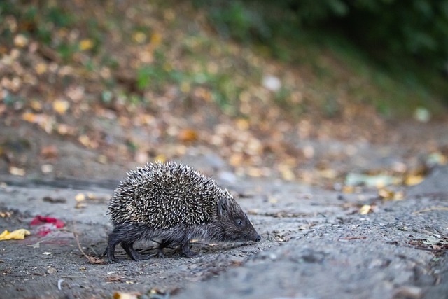 在激动人心 在激动人心