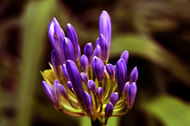 崭露头角 崭露头角