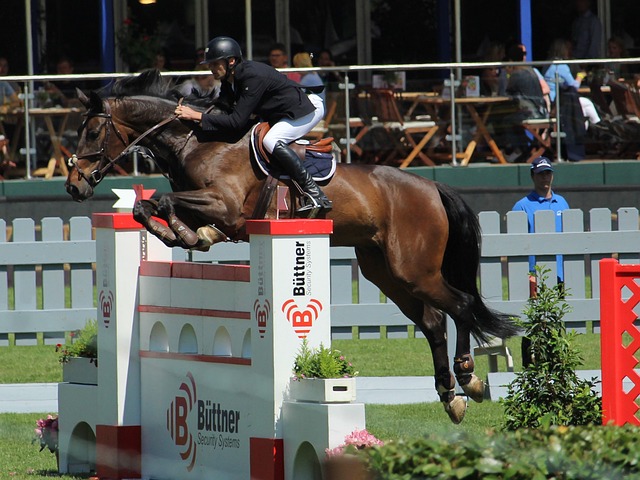 年皇马的主 年皇马的主