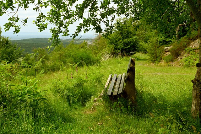 的神奇表现 的神奇表现