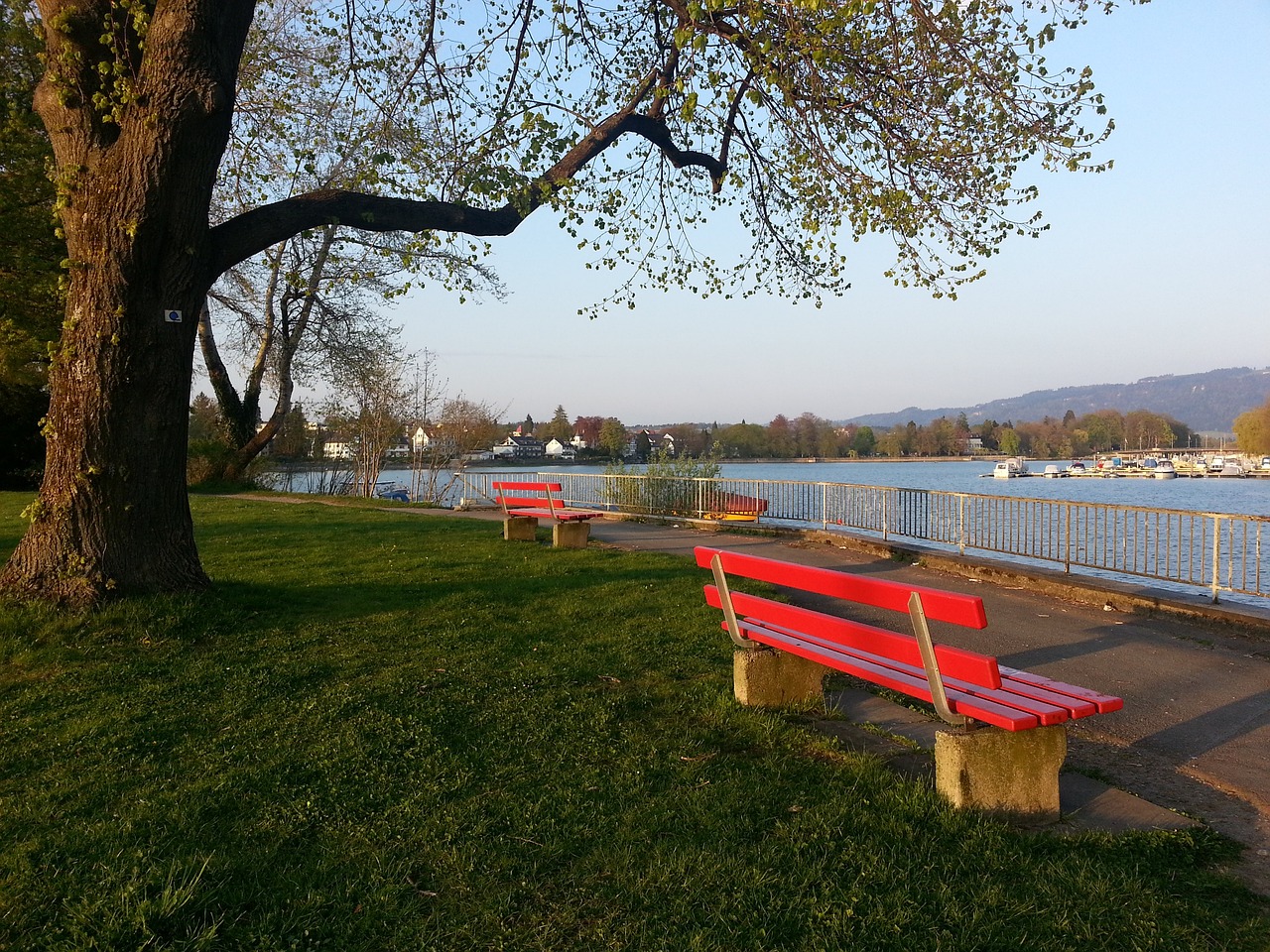 擾始終是個 擾始終是個