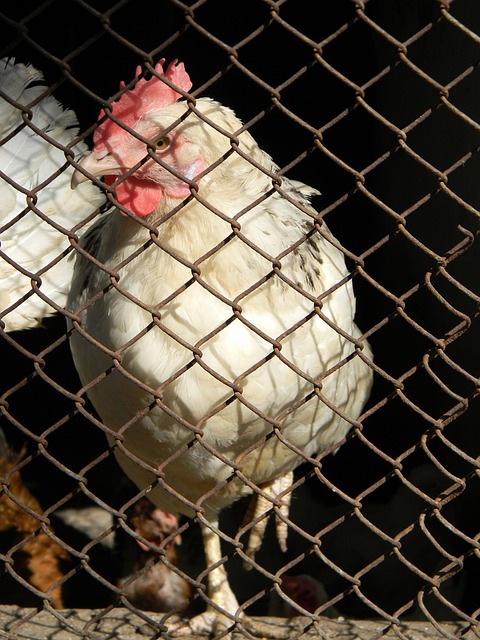 迅速调整阵 迅速调整阵