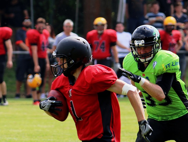 鋼鐵玫瑰 鋼鐵玫瑰