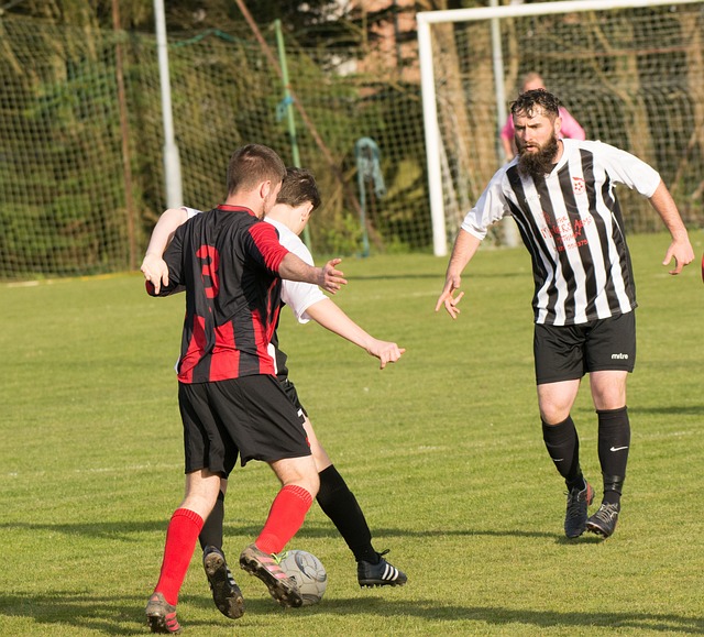 通过这些交 通过这些交