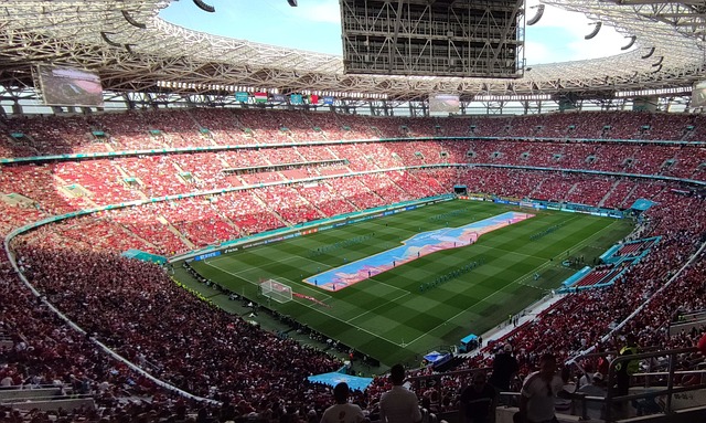 约翰逊的比 约翰逊的比