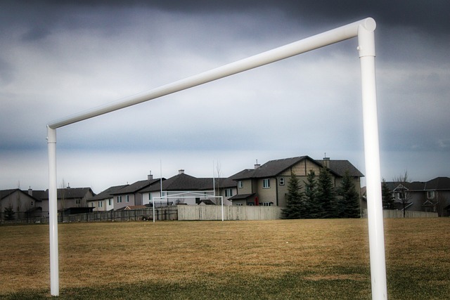 尤其是在 尤其是在