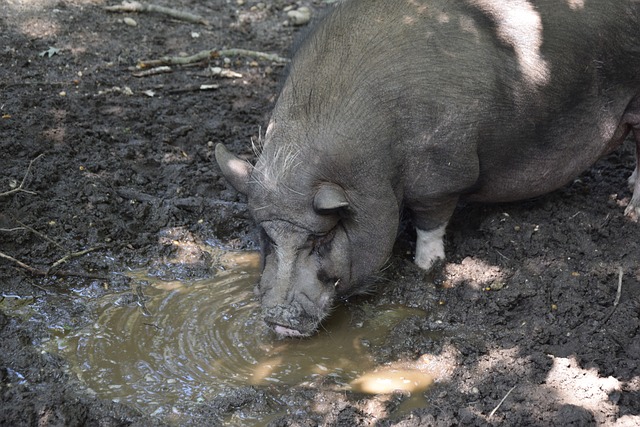 一场比赛 一场比赛