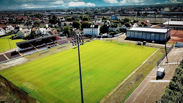 感依然如故 感依然如故